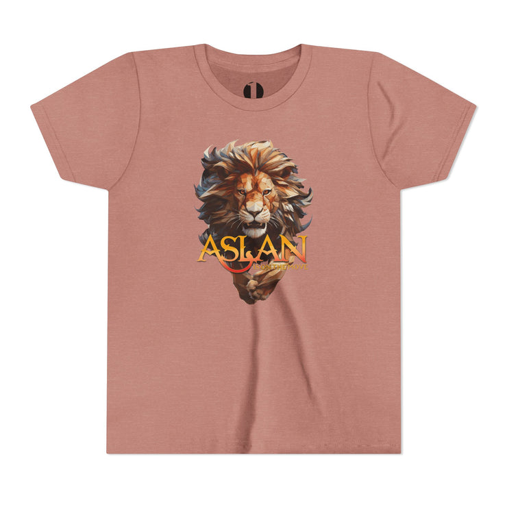 Heather mauve youth t-shirt with Narnia-inspired graphic saying Aslan Is On The Move